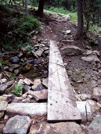 Photo of a wooden plank for easier stream crossing